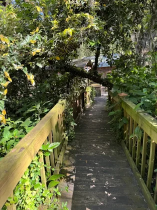 hiking trails jacksonville
