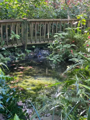 hiking trails jacksonville