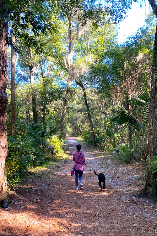 hiking trails jacksonville