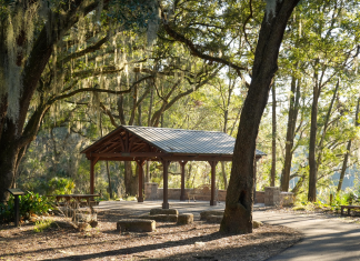 Beyond the Beach: Unexpected Family Outdoor Adventures in Jax outdoor adventures