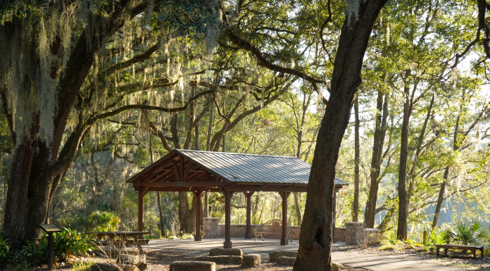Beyond the Beach: Unexpected Family Outdoor Adventures in Jax outdoor adventures