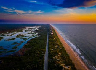 Why Should You Care About Guana?