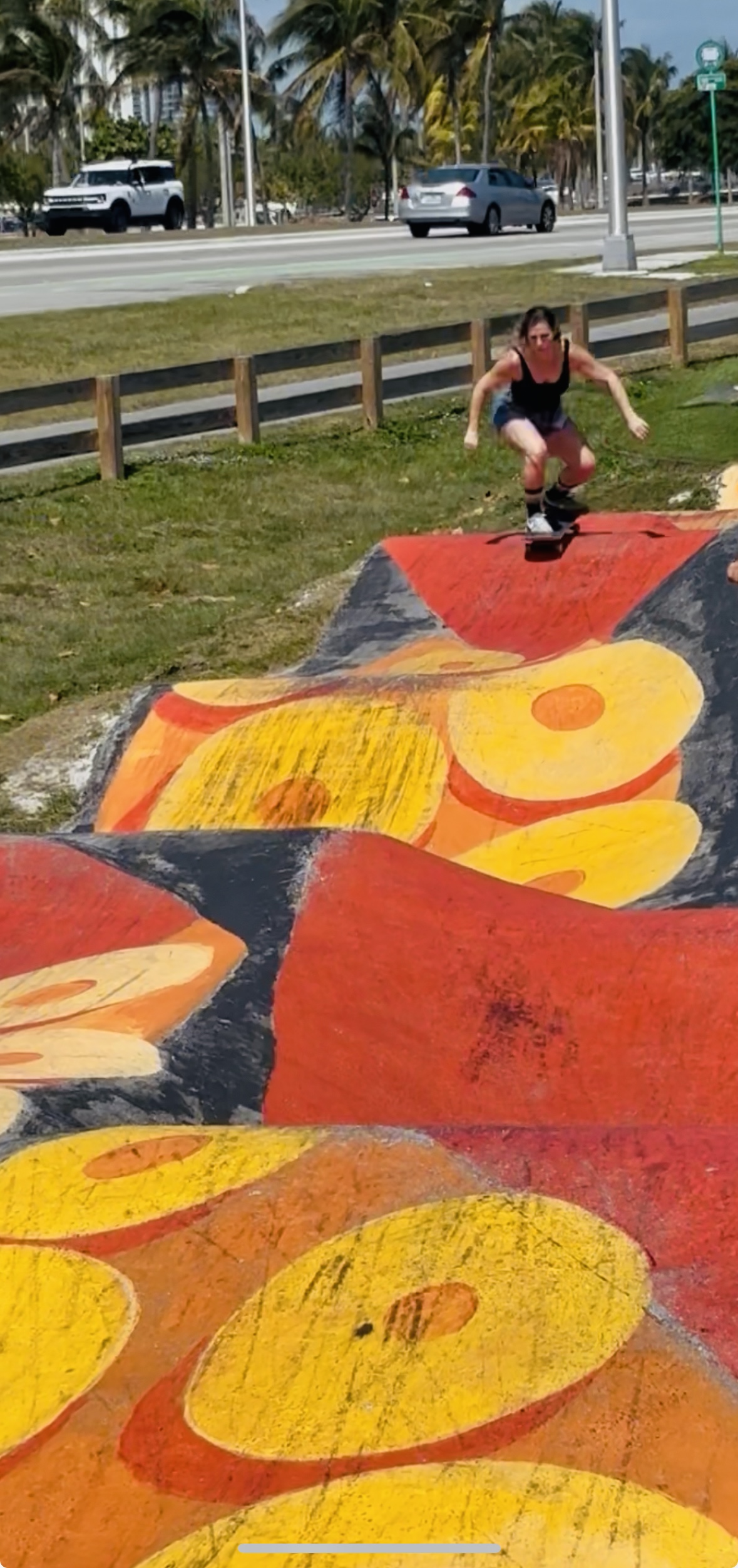 Fun Jacksonville Day Trips (With a Skateboard Twist) skateboard