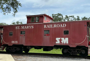 georgia train