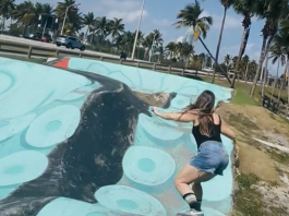 Fun Jacksonville Day Trips (With a Skateboard Twist) skateboard