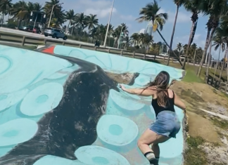 Fun Jacksonville Day Trips (With a Skateboard Twist) skateboard