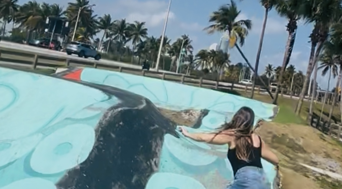 Fun Jacksonville Day Trips (With a Skateboard Twist) skateboard