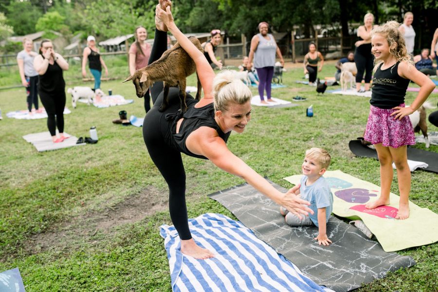 international yoga day