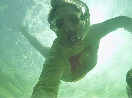 She Scoops Seashells by the Sea Shore: Scalloping with Kids scalloping