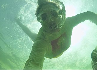 She Scoops Seashells by the Sea Shore: Scalloping with Kids scalloping