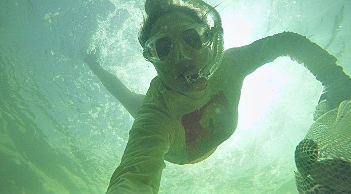 She Scoops Seashells by the Sea Shore: Scalloping with Kids scalloping