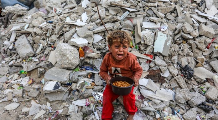 Gaza’s Babies Are Starving, and Mothers Around the World Are Watching in Grief