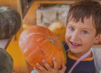 Jacksonville’s 2025 Guide to Halloween and Fall Fun Jacksonville’s Guide to Halloween and Fall Festival Fun