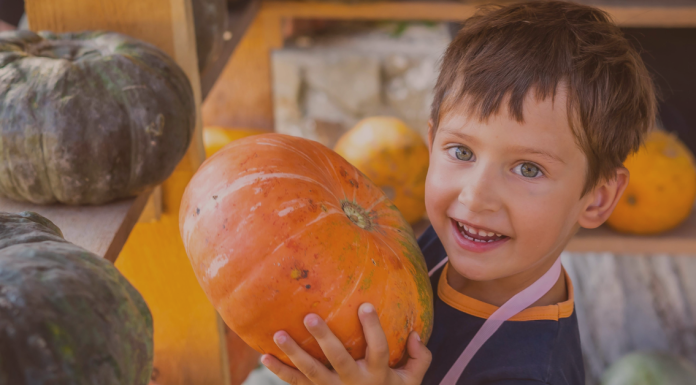 Jacksonville’s 2025 Guide to Halloween and Fall Fun Jacksonville’s Guide to Halloween and Fall Festival Fun
