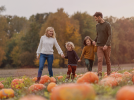The 2025 Best Pumpkin Patches, Farms, & Corn Mazes In and Around Jacksonville! Jacksonville’s Guide to Halloween and Fall Festival Fun