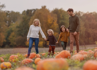The 2025 Best Pumpkin Patches, Farms, & Corn Mazes In and Around Jacksonville! Jacksonville’s Guide to Halloween and Fall Festival Fun