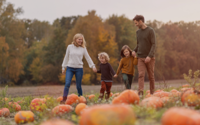 The 2025 Best Pumpkin Patches, Farms, & Corn Mazes In and Around Jacksonville!