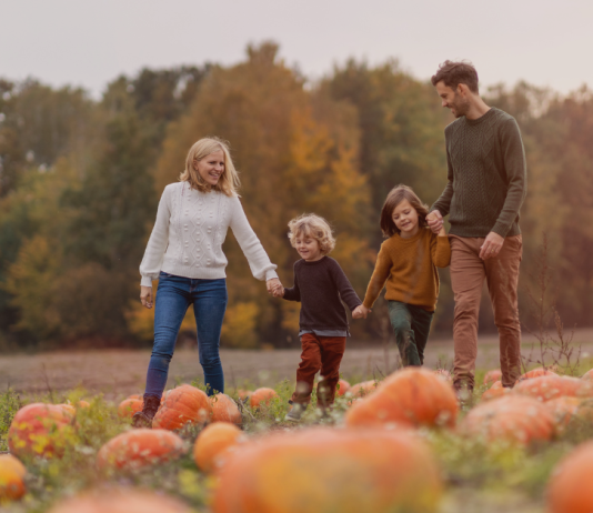 The 2025 Best Pumpkin Patches, Farms, & Corn Mazes In and Around Jacksonville! Jacksonville’s Guide to Halloween and Fall Festival Fun