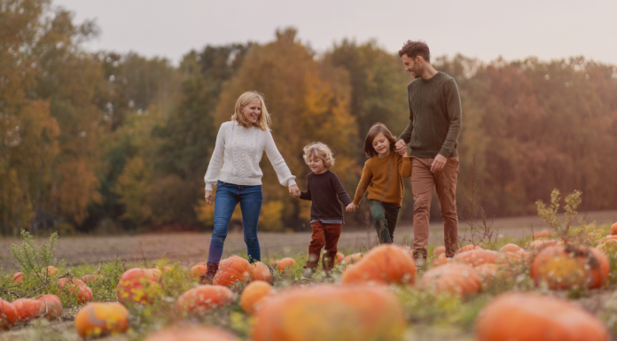 The 2025 Best Pumpkin Patches, Farms, & Corn Mazes In and Around Jacksonville! Jacksonville’s Guide to Halloween and Fall Festival Fun