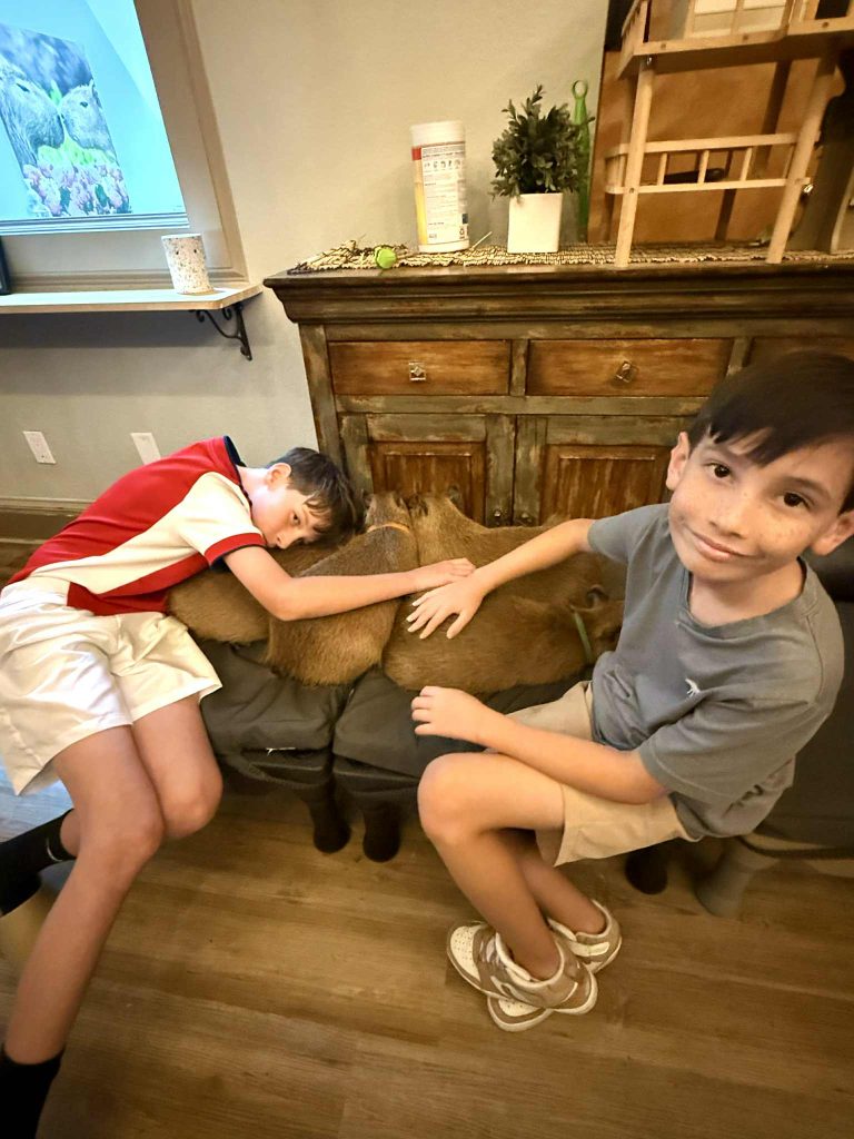 Celebrate with a St. Augustine Birthday Scavenger Hunt st. augustine scavenger hunt