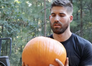 True Life: How a Pumpkin Spiced Up My Sex Life sex life