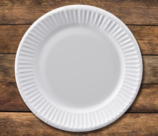 Confession of a Personal Chef: Why I’m Fully Embracing the Paper Plate Era paper plate
