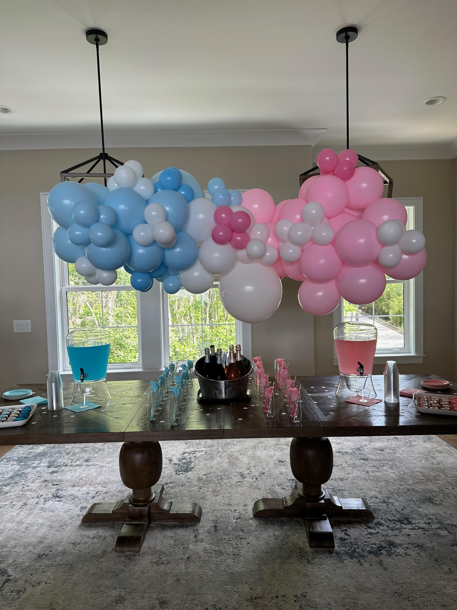 gender reveals