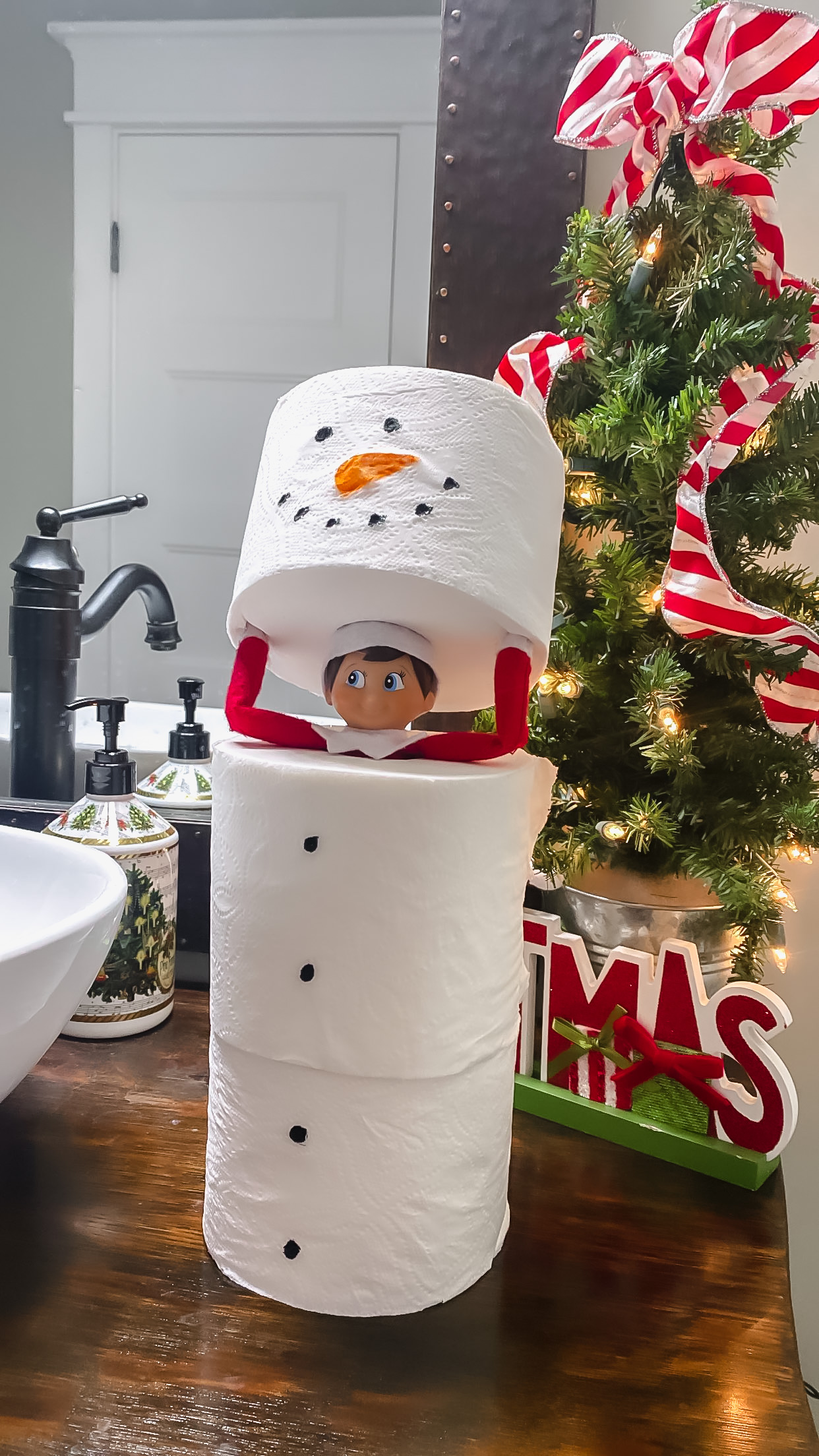 Toilet Paper Toilet Paper