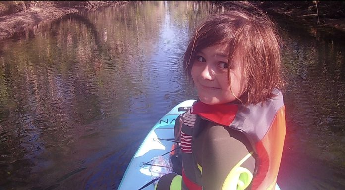 For the Love of Manatees: Tips for Enjoying and Protecting the Beloved 'Sea Cow' seeing manatees in florida