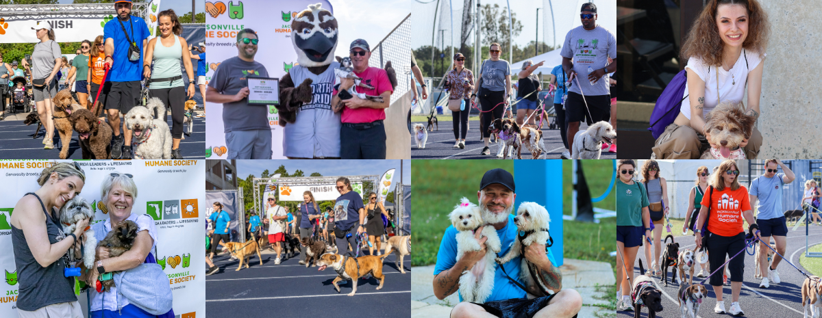 Mutt March 2026 | Hodges Stadium at the University of North Florida