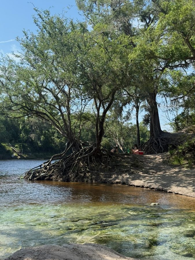 suwannee county