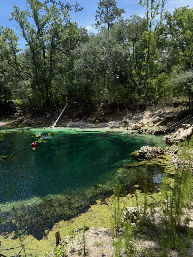 suwannee county