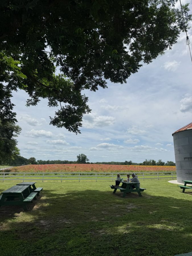 suwannee county