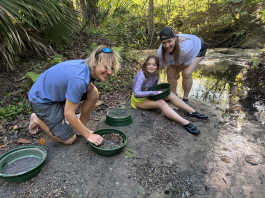 Digging Up Florida: A Family Fossil-Hunting Adventure in Gainesville fossil hunting florida