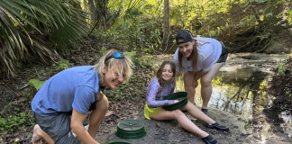 Digging Up Florida: A Family Fossil-Hunting Adventure in Gainesville fossil hunting florida