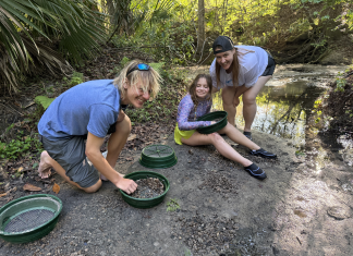 Digging Up Florida: A Family Fossil-Hunting Adventure in Gainesville fossil hunting florida