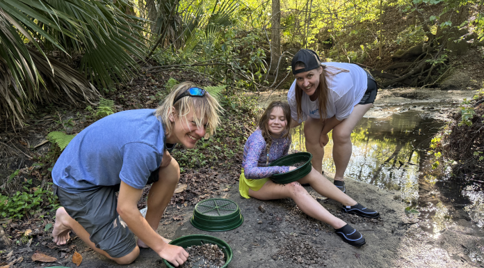 Digging Up Florida: A Family Fossil-Hunting Adventure in Gainesville fossil hunting florida