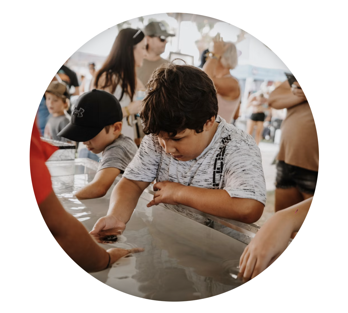 Summer Festivals in Jacksonville