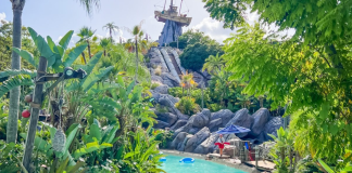 Your Ultimate Guide to Summer Fun In & Around Jacksonville