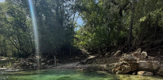 Escape to Suwannee County for the Ultimate Family Summer Adventure suwannee county