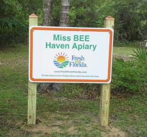 MissBeeHavenApiary.png