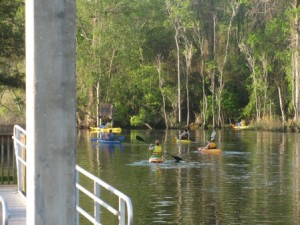 kayakers.jpg