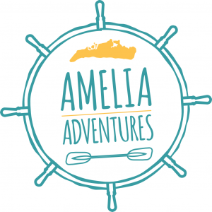 Amelia Island Adventures logo