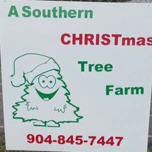 southern CHRISTmas tree.jpg